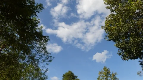White clouds move around with trees in front. 스톡 동영상 108263451