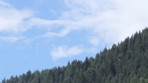 White clouds moving slowly in a sunny day on mountain covered by trees Video stock 112750294