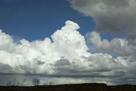 White clouds over forest. Celestial landscape in spring. Foto stock