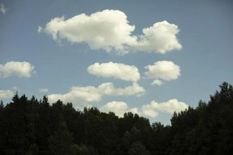 White clouds over the forest. Summer landscape. Stock Photos