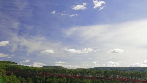  White clouds over green coniferous forests, time lapse Stock Footage 81206174