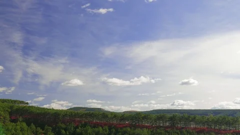 White clouds over green coniferous forests Stock Footage 81206176