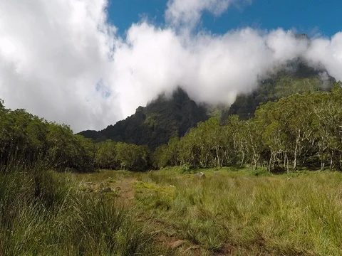 White clouds over the green mountains and grassy landscape Stock Footage 81239900