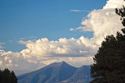 White clouds over a mountain with a pine tree on the side. Stock Photos