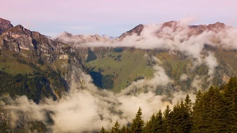 White clouds over mountains and pine forest Stock Footage 76004775