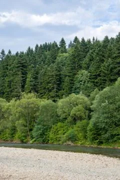 White clouds over mountains covered with coniferous trees, mountain landscape Foto stock