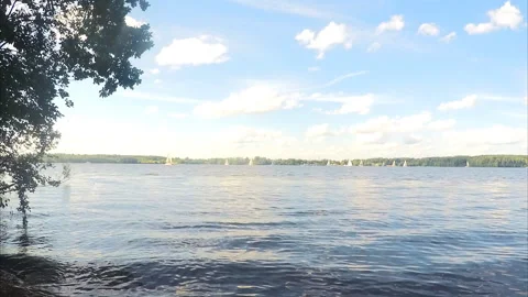 White clouds over the pond and forest timelapse 스톡 동영상 87223185