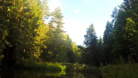 White clouds over a river in the forest timelapse 스톡 동영상 87231395