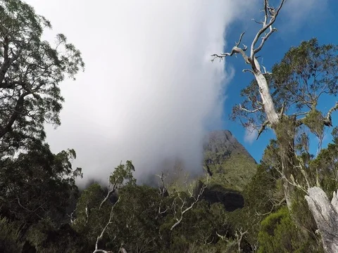 White clouds over the trees and green mountains Stock Footage 81240885