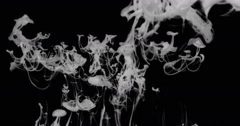 White clouds of paint Stock Footage 234969492