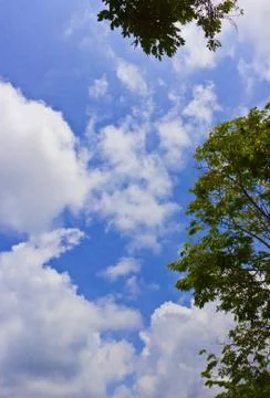 White clouds Stock Photos