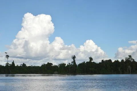 White clouds Stock Photos