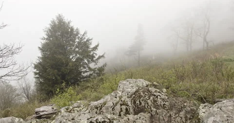 White clouds, rocky mountain tree, foggy rainy Spring morning Stock Footage 139891746