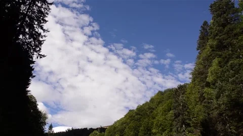White clouds rose up over the forest of fir  Stock Footage 58815452