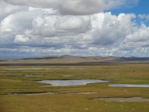 White clouds shadows on the swamp Stock Photos