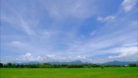 White clouds in the  Sky and rice field. Timelapse Stock Footage 206389209