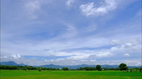 White clouds in the  Sky and rice field. Timelapse Stock Footage 206389212