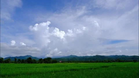 White clouds in the  Sky and rice field. Timelapse Stock Footage 206389213