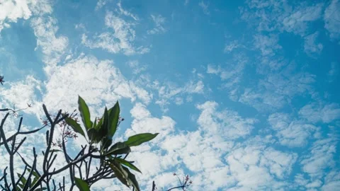 White Clouds Time Lapse Motion Vidéo 339111553