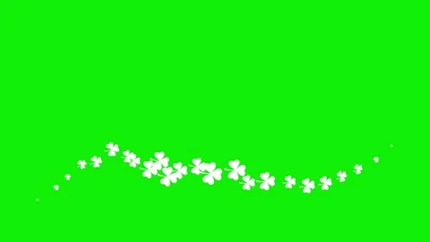 White clover wave 2 green Video stock 250167078