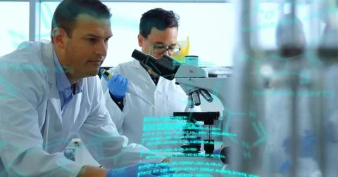 White-coated scientists examining samples at lab bench, with microscope, pipette 스톡 사진