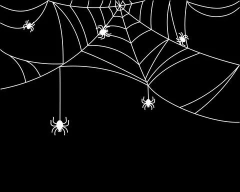 White cobweb and spiders on black background for halloween. Stock-Illustration