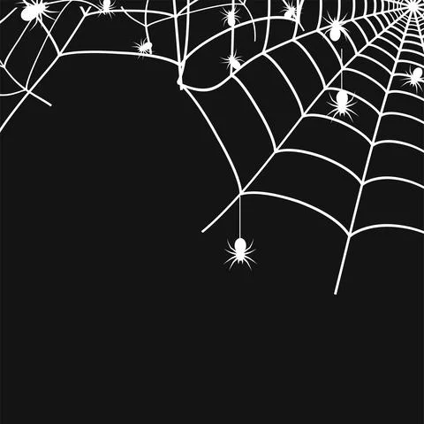 White cobweb with spiders on black background. Spider web. Vector Illustrazione stock