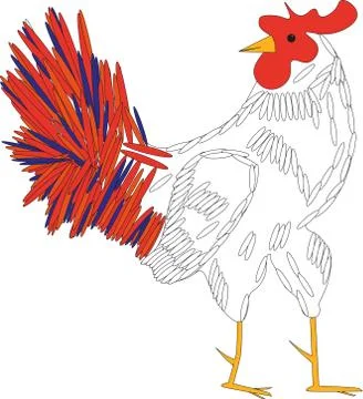 White cock 库存插图