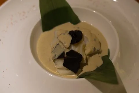 White cod fish with miso sauce and black truffle on a leaf in a a white porce Stock Photos