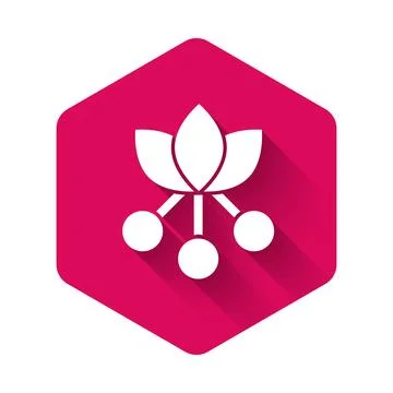 White Coffee bean, branch with leaf and berry icon isolated with long shadow. Stock Illustration