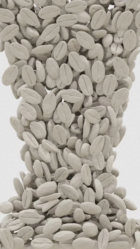 White Coffee Beans Portrait Vertical Video Curtain Transition Alpha Channel Stock Footage 269654934
