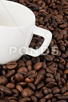 White coffee cup on the background of coffee beans Stock Photos