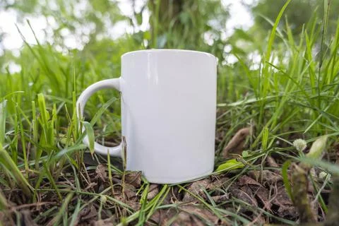 White coffee mug on the background of grass in the garden. cup mockups. mug m Stock Photos