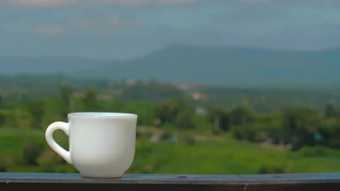 White coffee mug set against scenic green landscape with mountains in Stock-Footage 281186652