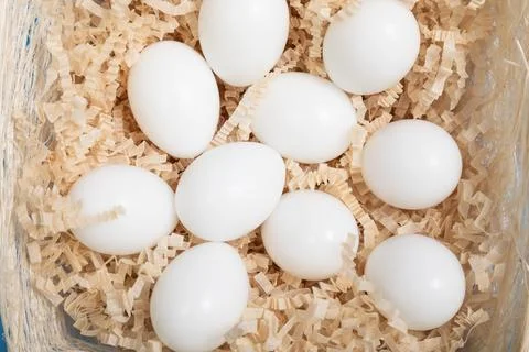 White color Eggs. Happy Easter poster, spring Christian greeting card, temp.. Stock Photos