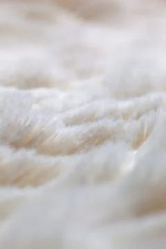 White colored blanked Stock Photos