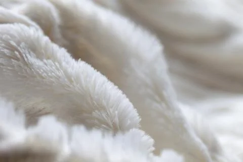 White colored blanked Stock Photos