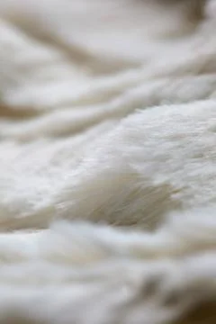 White colored blanked Stock Photos