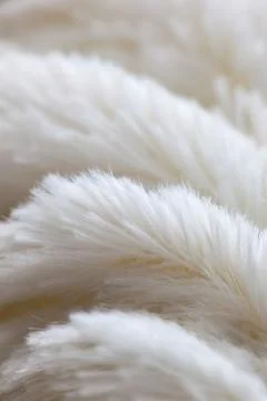 White colored blanked Stock Photos