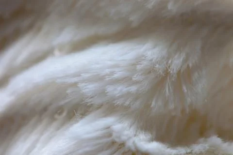 White colored blanked Stock Photos