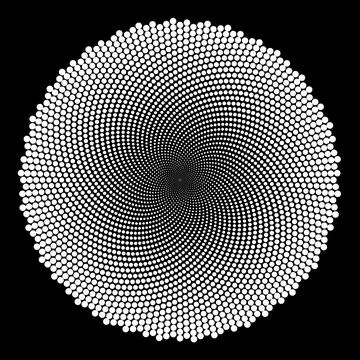White colored dots in circular phyllotaxis shape. Abstract geometric pattern Stock Illustration