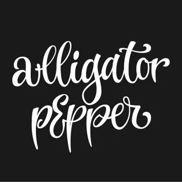 White colored hand drawn spice label -Alligator pepper. Stock Illustration