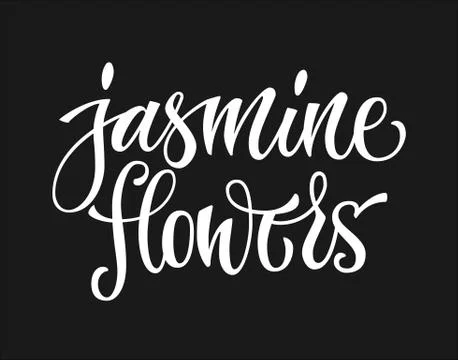 White colored hand drawn spice label - jasmine flowers. Stock Illustration