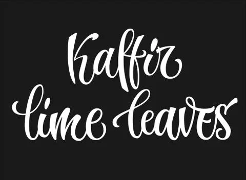 White colored hand drawn spice label - Kaffir lime leaves. Stock Illustration