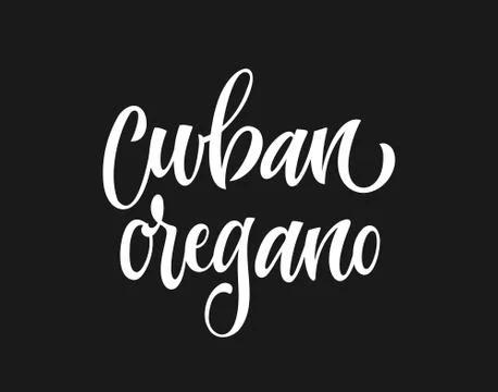 White colored hand drawn spice label - Cuban oregano. Stock Illustration