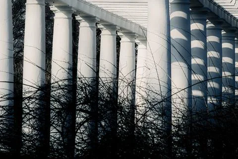 White columns with shadows and bare branches Stock Photos