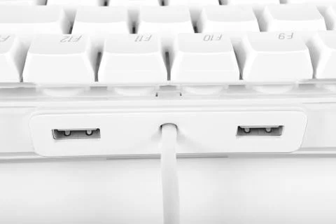 White computer keyboard Stock Photos