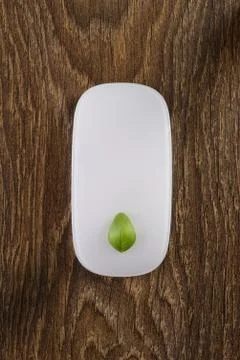 White computer mouse on a beautiful table. Leaf basil. Stock Photos