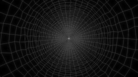 White concentric cobwebs on a dark background. Elegant fantasy abstract Stock Footage 113326534