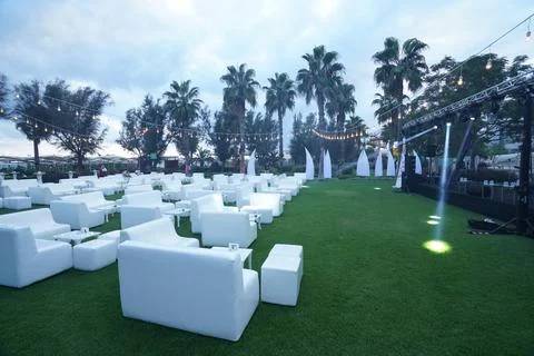 White concept evening on field Stock Photos